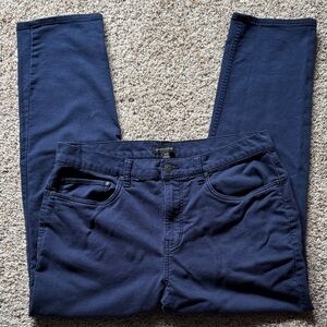 Banana Republic Navy Chino Pants
